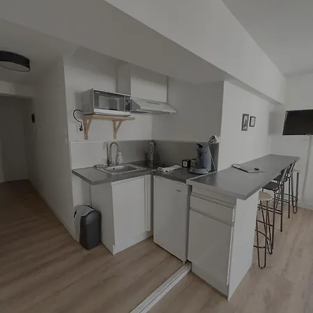 Le Manhattan Monkey :au Coeur Du Centre Historique Dijon