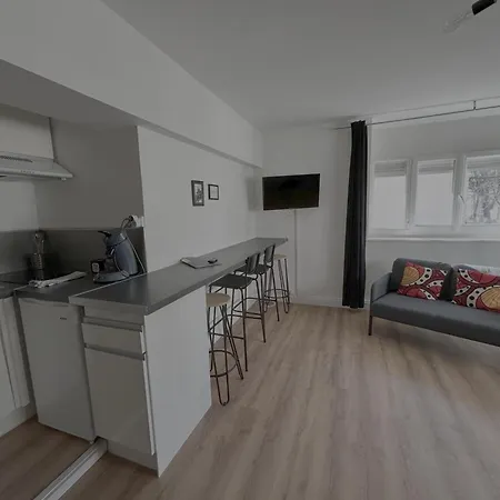 Le Manhattan Monkey :au Coeur Du Centre Historique Apartamento