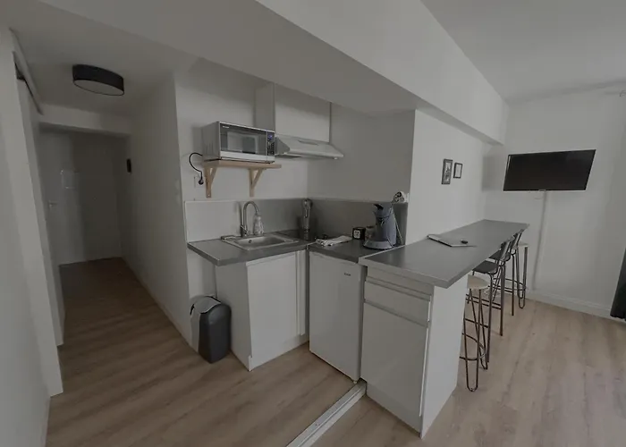 Le Manhattan Monkey :au Coeur Du Centre Historique Dijon