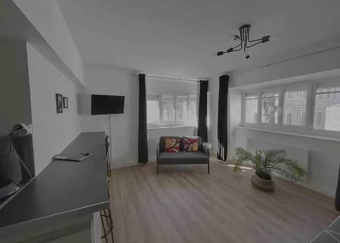 Le Manhattan Monkey :au Coeur Du Centre Historique *